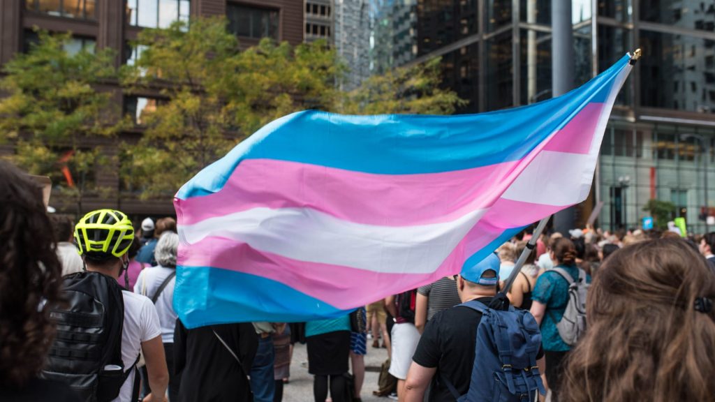 Ley del colectivo Trans en una manifestación