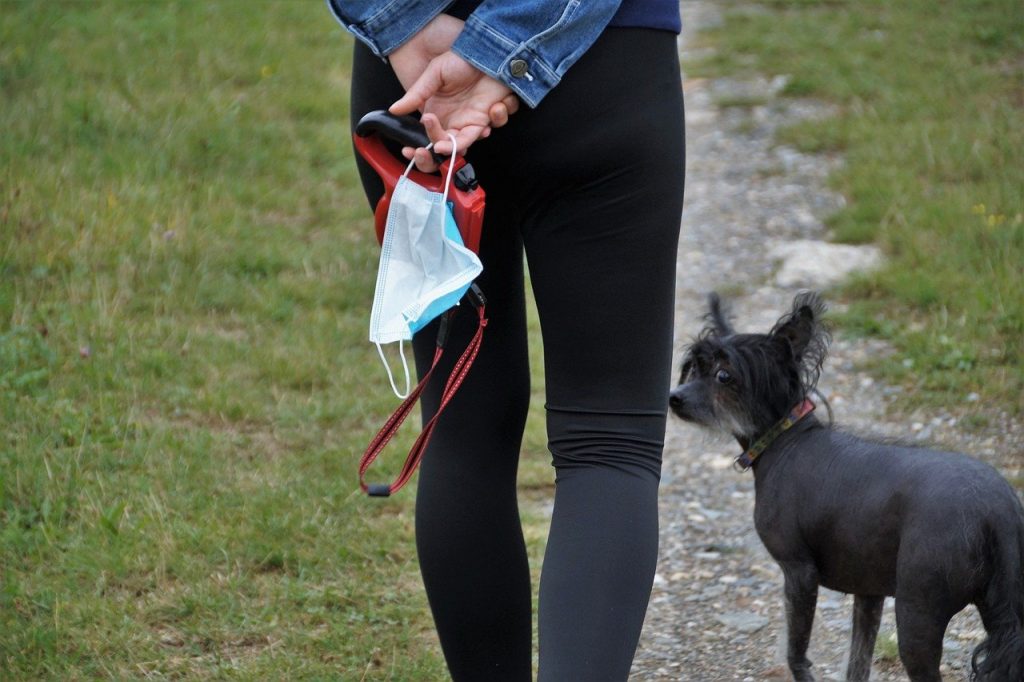 Perro paseando junto a su dueña con mascarilla quirúrjica