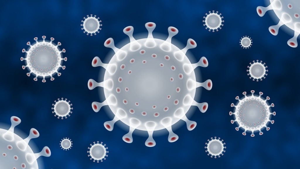 El equipo de la OMS asegura que el COVID-19 tiene origen animal y descarta la hipótesis del laboratorio