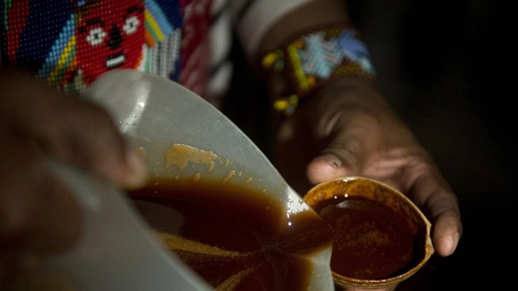 Ayahuasca