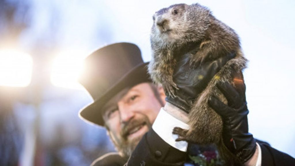 La marmota Miltown Mel