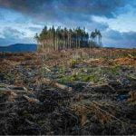 Ecoansia, la nueva patología psicológica a raíz del cambio climático