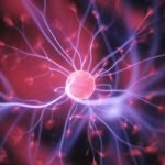 Cinco maneras para desbloquear los centros de placer ancestrales del cerebro e inspirarnos