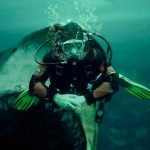 Shark Tank, ¿una estafa? Lo que oculta la serie de inversionista – no lo vas a creer!