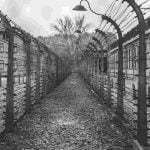 ¡El fotógrafo era nazi! La UPC retira exposición fotografía de Ucrania por las simpatías de su autor