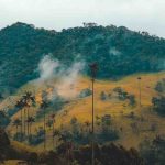 ¿Por qué el Gobierno de Colombia volvió a romper tregua con la guerrilla del ELN?