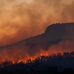 El invierno más caliente de la historia y no creerás lo que sigue…