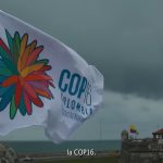 COP 16: ¿Qué es? ¿Cómo aborda Colombia, el país anfitrión, la organización de este evento?