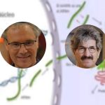 Nobel de Medicina 2024: ¿Quiénes son Victor Ambros y Gary Ruvkun, los ganadores? ¿Qué descubrieron?